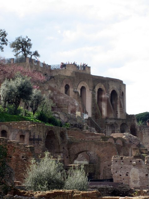 Roman Forum - Palantino-13.JPG